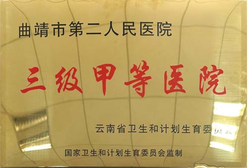 三级甲等综合医院