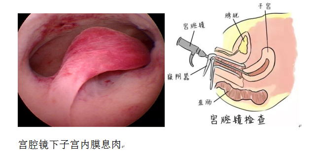 微信截图_20221109105422.png